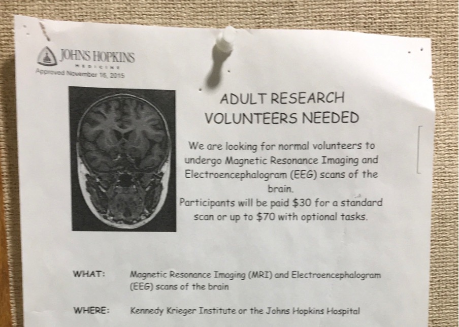 Picture of flyer